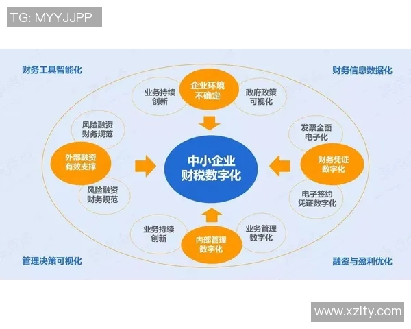 财税管理在现代企业运营中的核心作用与优化策略分析