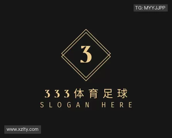 介绍333体育